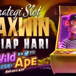 Wild Ape #3258: Mengapa Dijuluki Slot Jungle Paling Cuan? Bongkar Rahasianya!